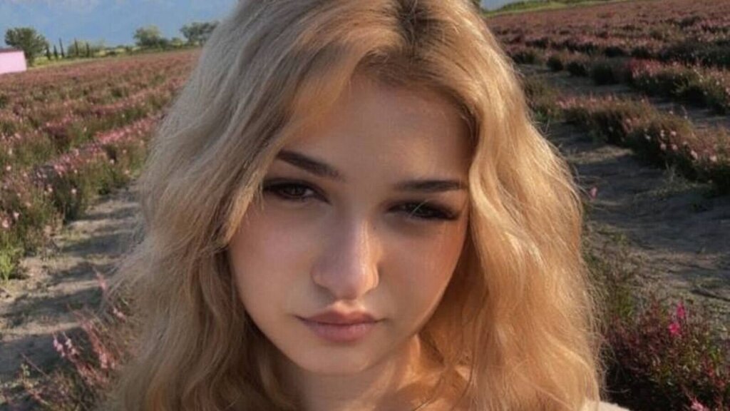 CloudyFox